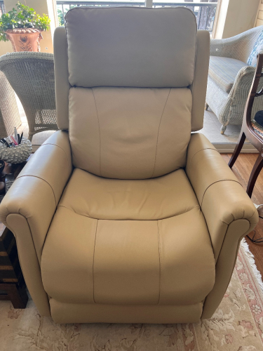 Lift Recline Chair