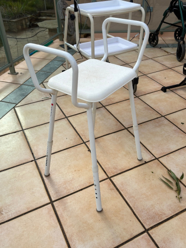 Shower Stool