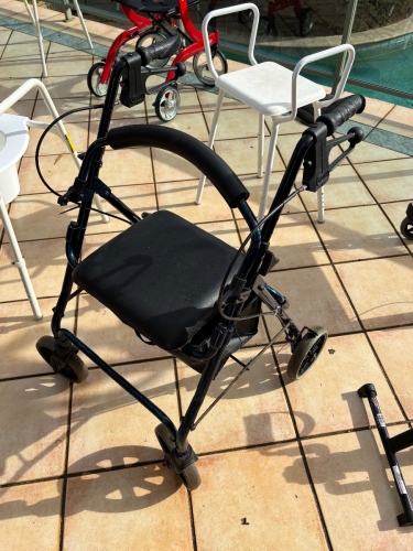 Mobility Seat Walker with Brakes