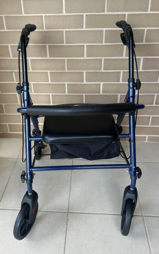 Triumph Walker (seat) $50