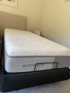 Electric Bed and Mattress
