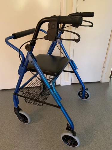 Mobility Walker