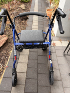 Aspire Mobility Walker