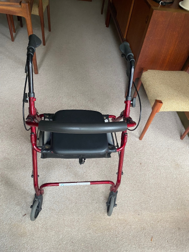 Mobility Walker