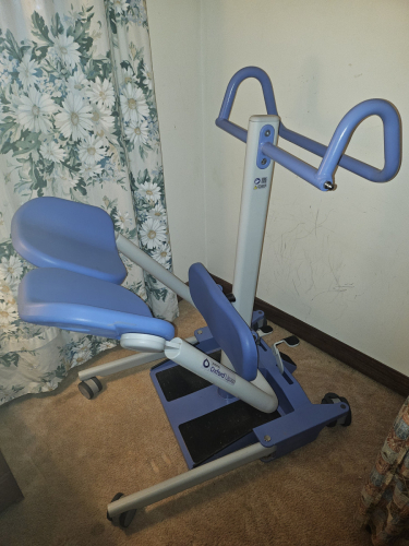 Sara Stedy Transfer Chair